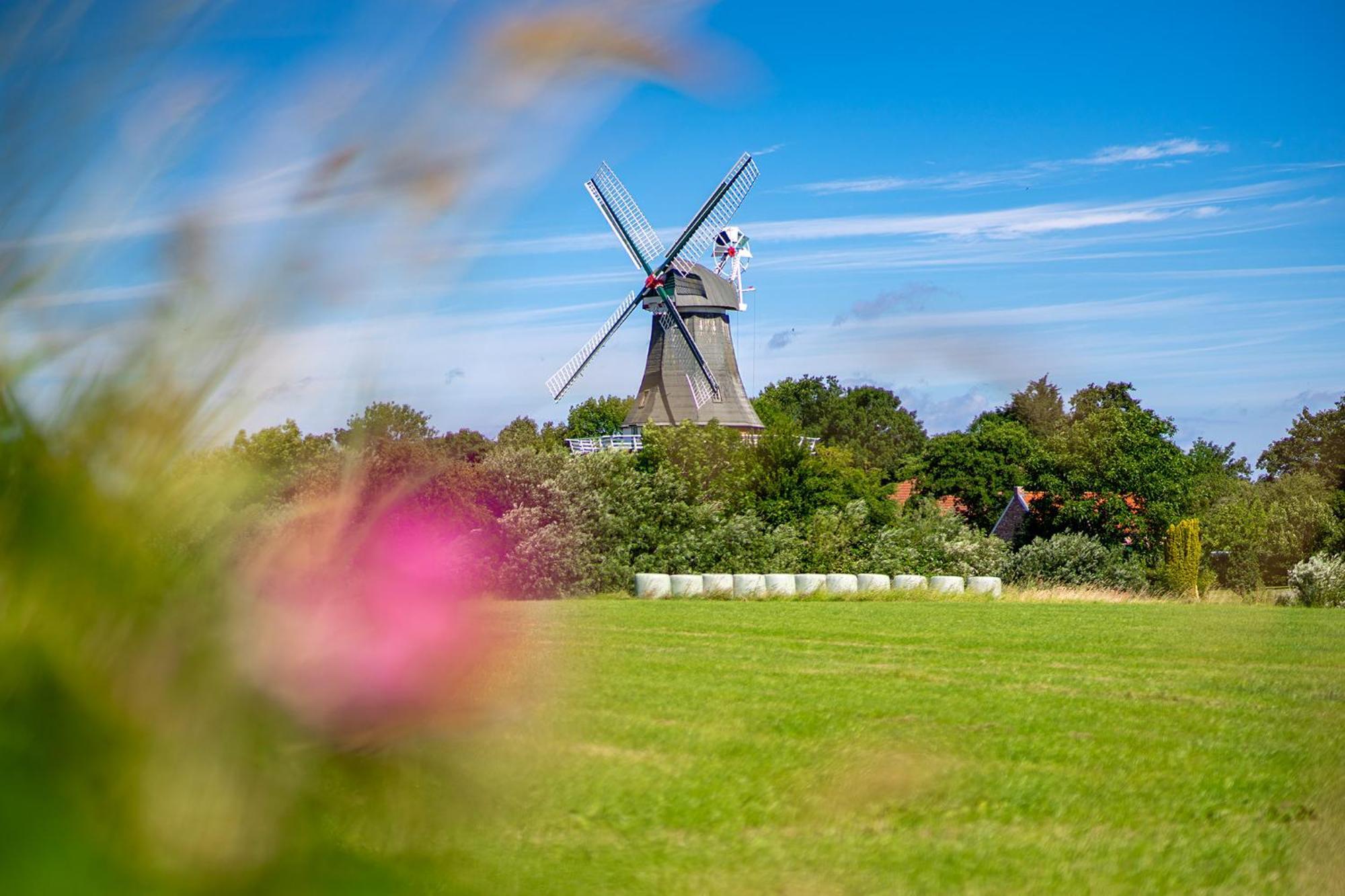 Deichblick Vila Greetsiel Exterior foto